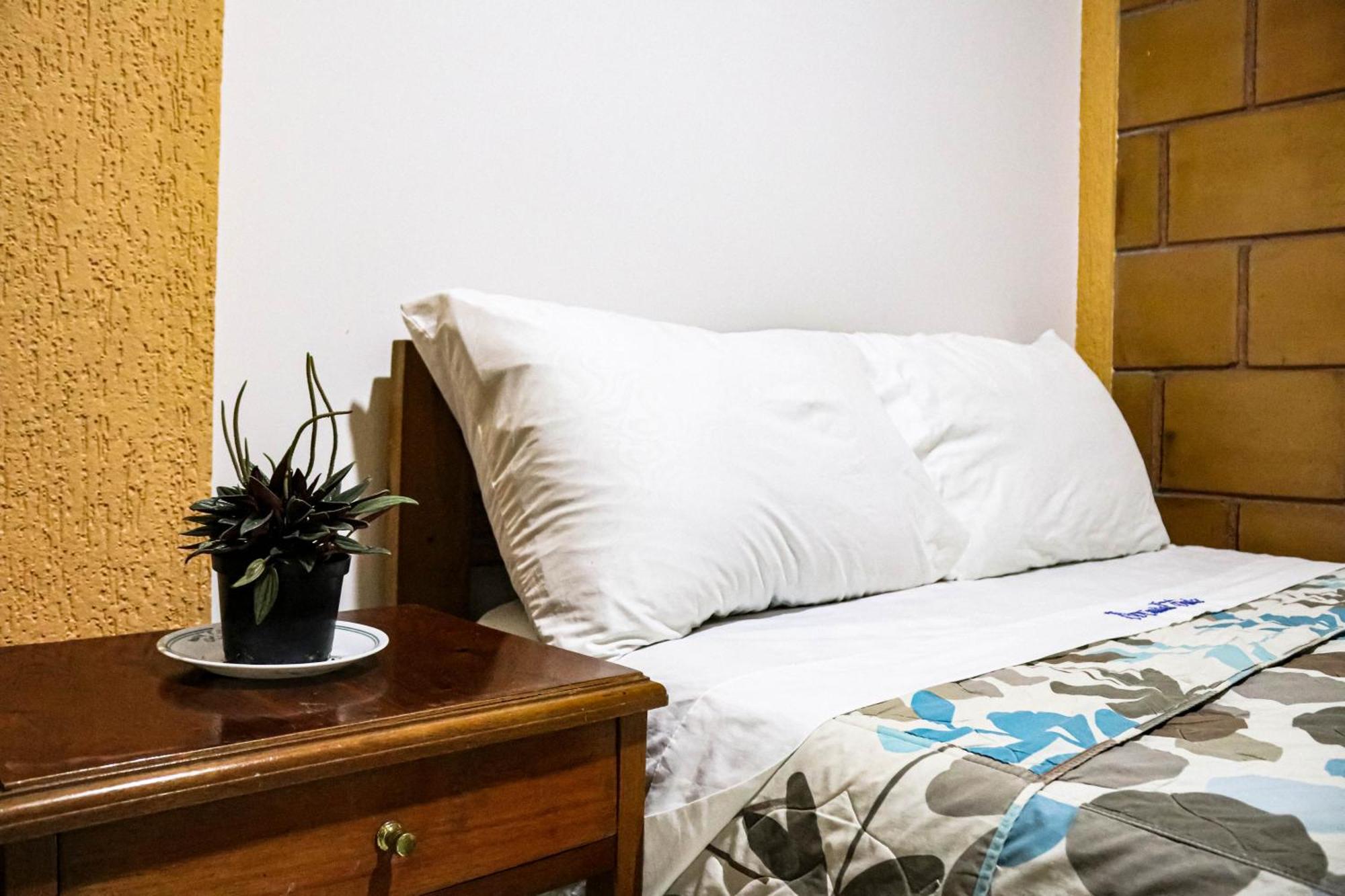 Hotel Ciudad Dulce מוניקירה מראה חיצוני תמונה